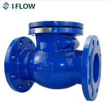 Water DIN Cast Iron Flanged Swing Rubber Check Valve Price